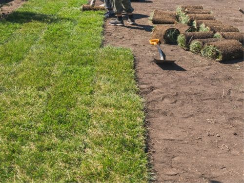  Landscaping Services