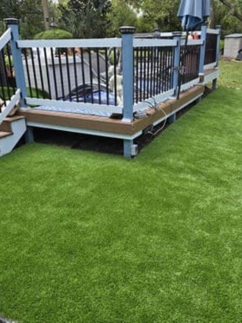 Tree Services Daytona Beach