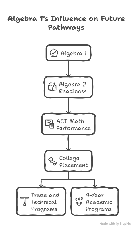 Algebra 1's Influence on Future Pathways