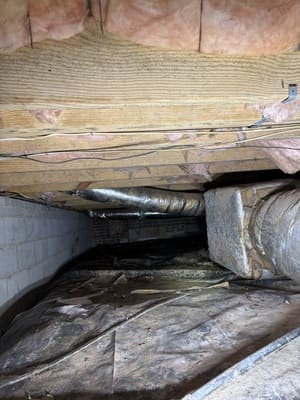 {{ custom_values.service_3 }} in {{custom_values.area_2})