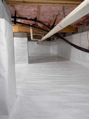 {{ custom_values.service_1 }} in {{custom_values.area_6})