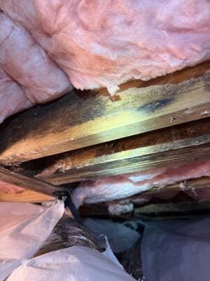 {{ custom_values.service_4 }} in {{custom_values.area_1})