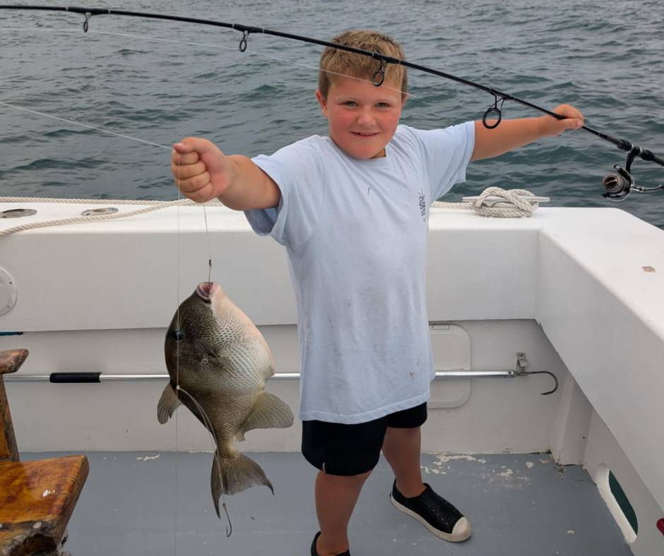 Hardscape Desing from lantScapes Landscape & Design