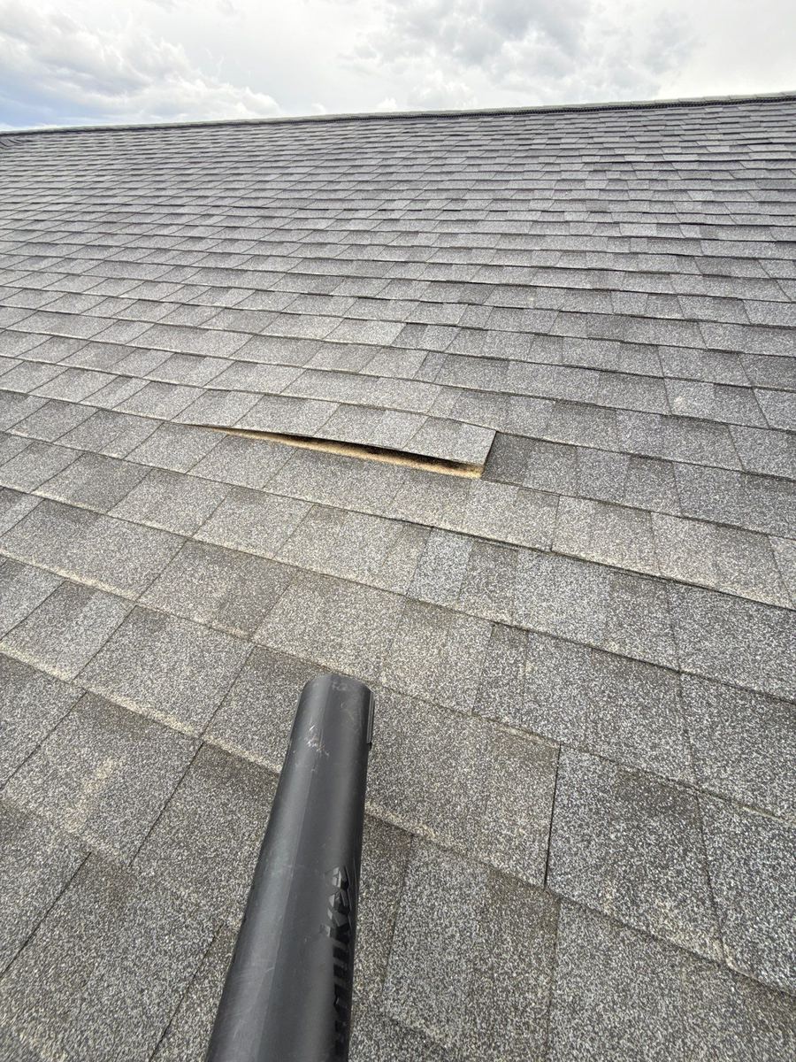 Close view of a damaged asphalt shingle on a Montana roof