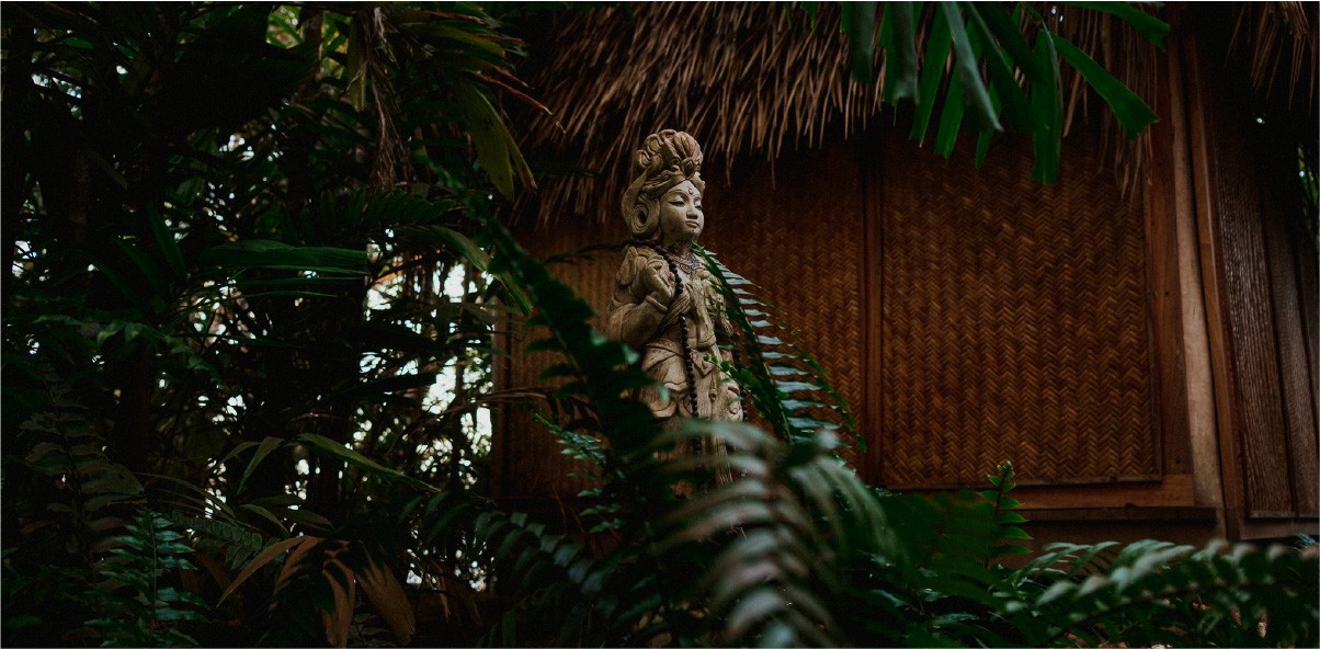 Detalle de cabaña en la selva