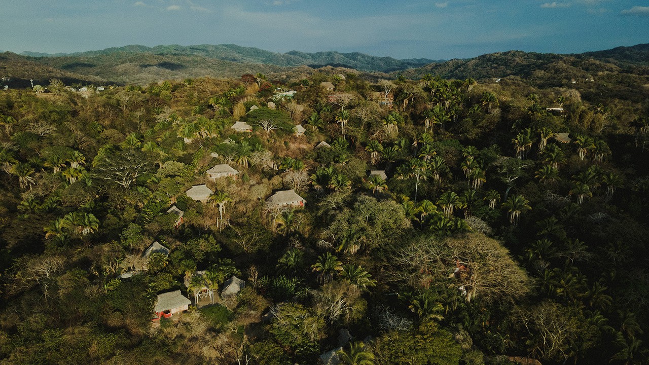 Vista aérea de la selva