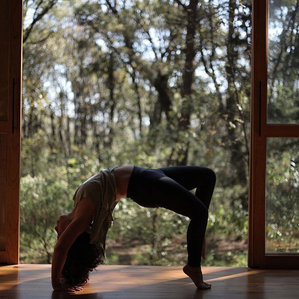 Yoga frente a la selva