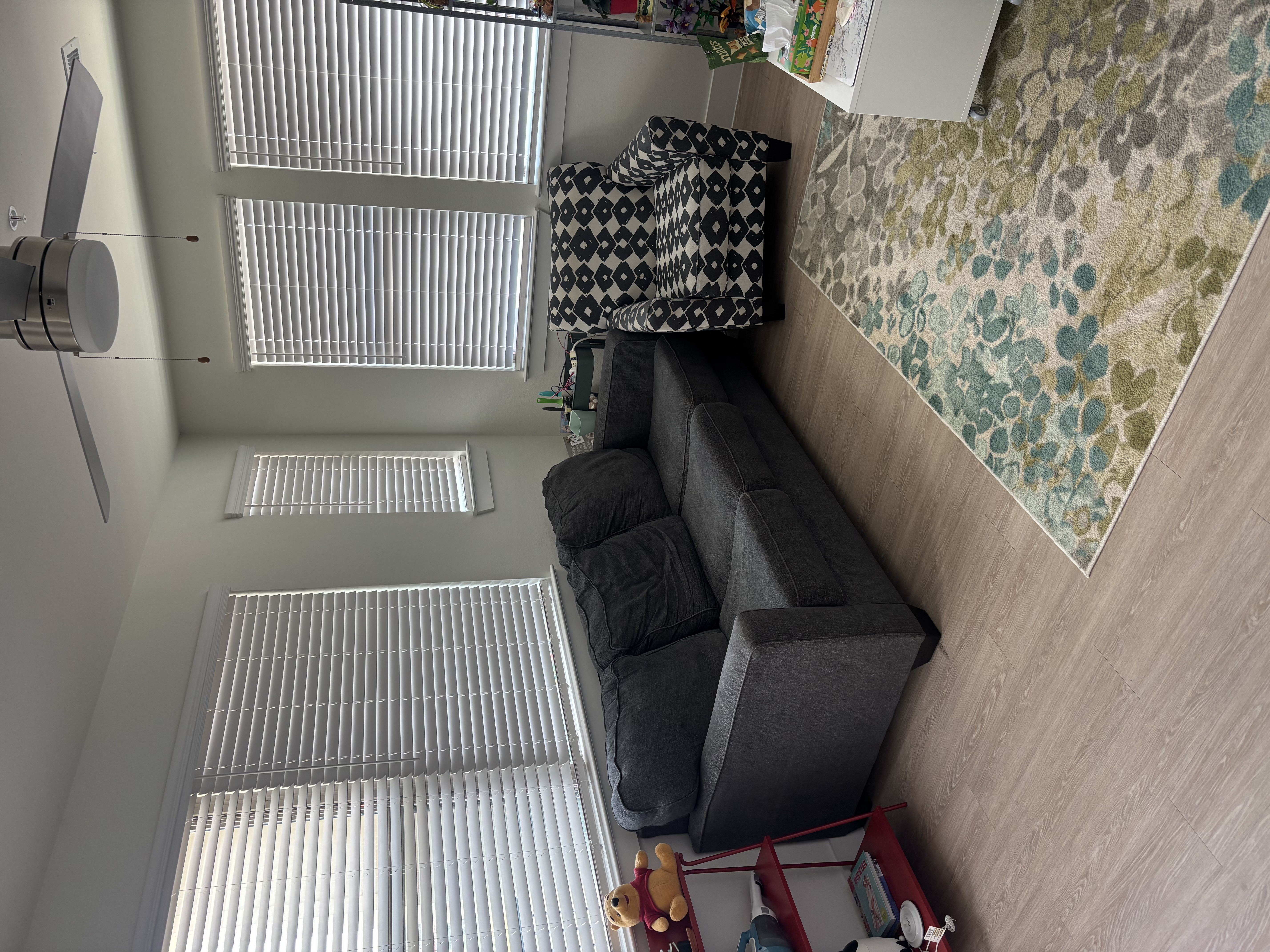 Before: Apartment & Furniture Cleanout