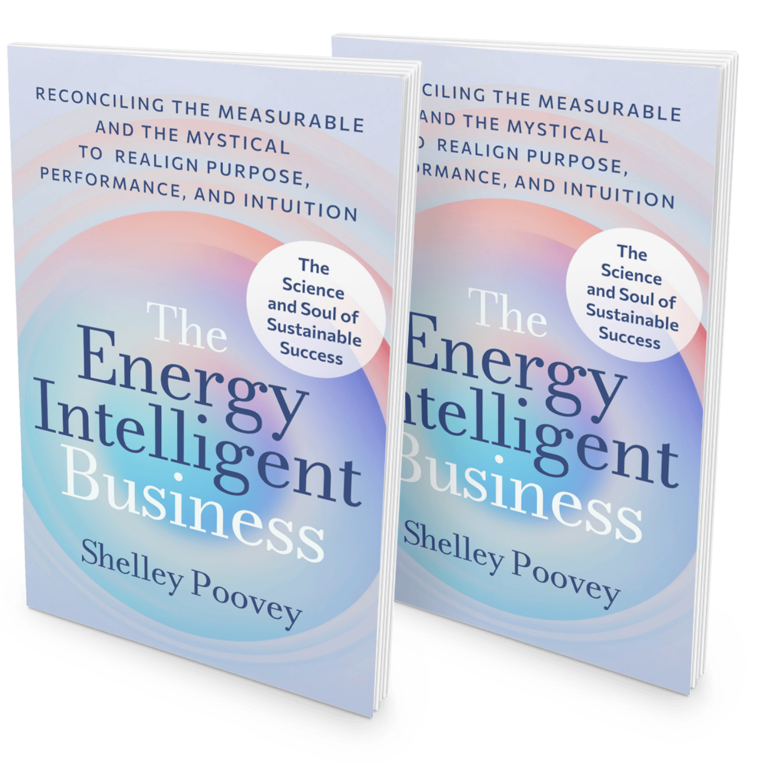 The Energy Intelligent Business Shelley Poovey Book