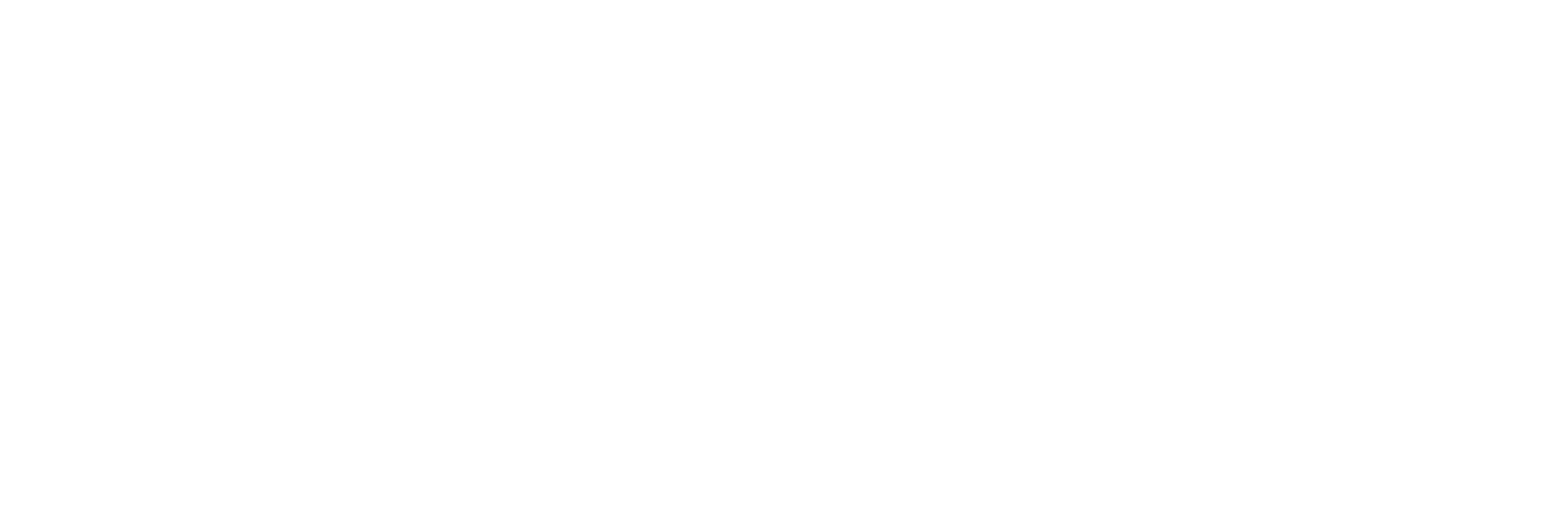 BNM Labs Logo