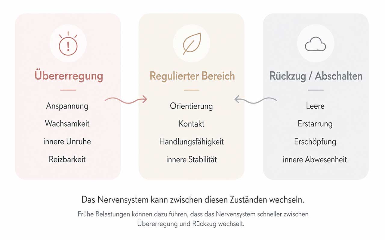 Darstellung möglicher Nervensystemzustände bei Entwicklungstrauma: Übererregung, regulierter Bereich und Rückzug Darstellung möglicher Nervensystemzustände bei Entwicklungstrauma: Übererregung, regulierter Bereich und Rückzug