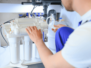 {{ custom_values.service_4 }} in {{custom_values.area_1})