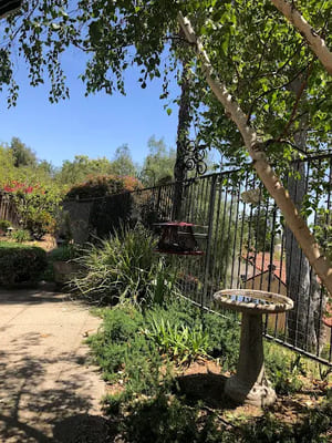 {{ custom_values.service_3 }} in {{custom_values.area_5})