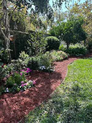 Yard Cleanup & Waste Removal in Chino Hills