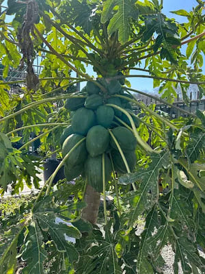 {{ custom_values.service_2 }} in {{custom_values.area_5})