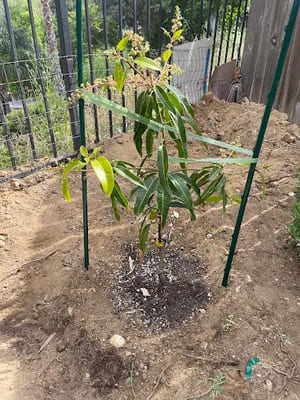 {{ custom_values.service_1 }} in {{custom_values.area_4})