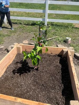 {{ custom_values.service_2 }} in {{custom_values.area_3})