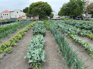 {{ custom_values.service_4 }} in {{custom_values.area_5})