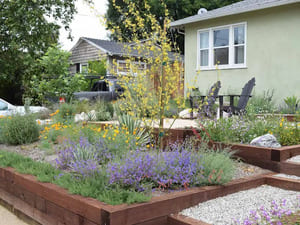 Landscaping in Chino Hills