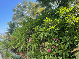 Install & Maintenance in Chino Hills