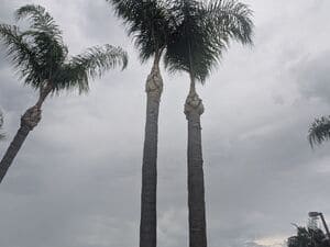 {{ custom_values.service_2 }} in {{custom_values.area_2})