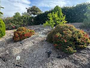 {{ custom_values.service_2 }} in {{custom_values.area_2})