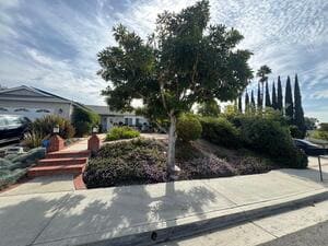 {{ custom_values.service_2 }} in {{custom_values.area_2})