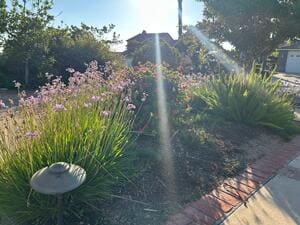 {{ custom_values.service_2 }} in {{custom_values.area_2})