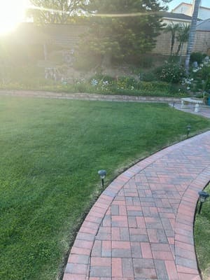 {{ custom_values.service_2 }} in {{custom_values.area_2})