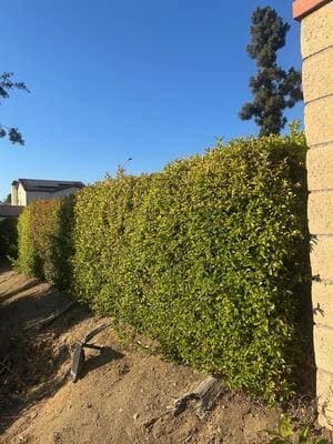 {{ custom_values.service_2 }} in {{custom_values.area_2})