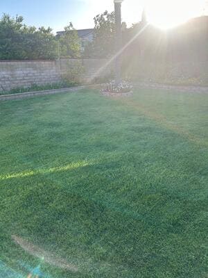 {{ custom_values.service_2 }} in {{custom_values.area_2})