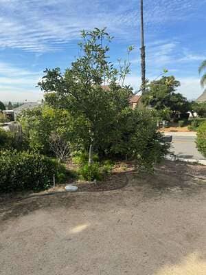 {{ custom_values.service_2 }} in {{custom_values.area_2})