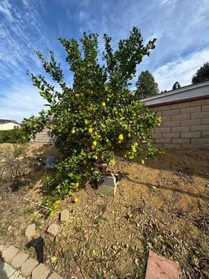 {{ custom_values.service_2 }} in {{custom_values.area_2})