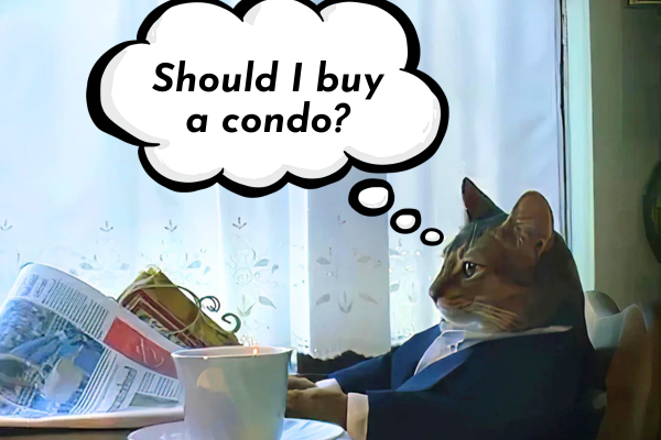Should I buy a condo? Should I buy a condo?