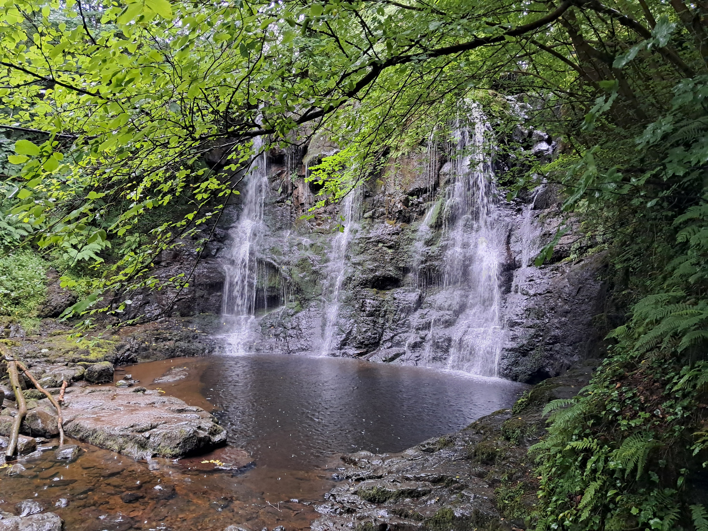 Ess-na-Crub waterfall in woodland