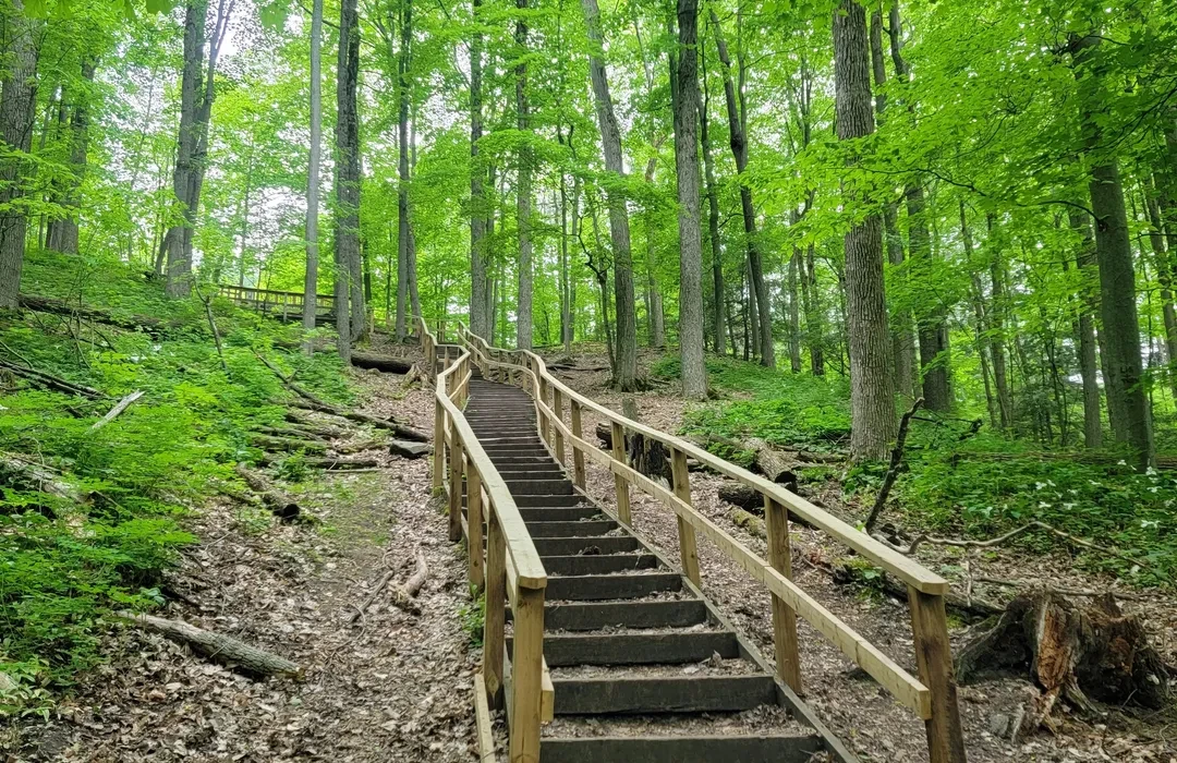 Wooded trail through an Aurora park