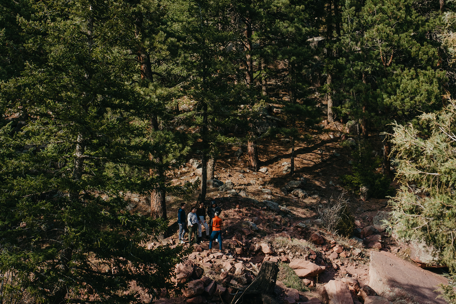 A small group gathered on a trail beneath tall pines
