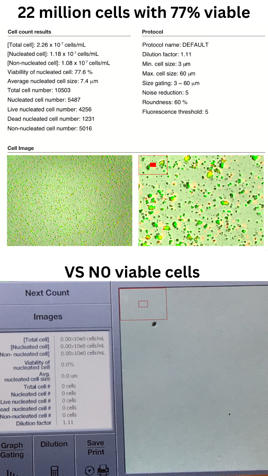 Stem cell count screen during product verification
