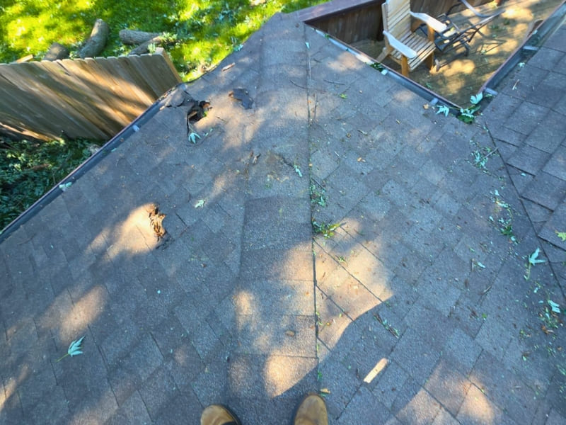 Professional roof inspection for repair