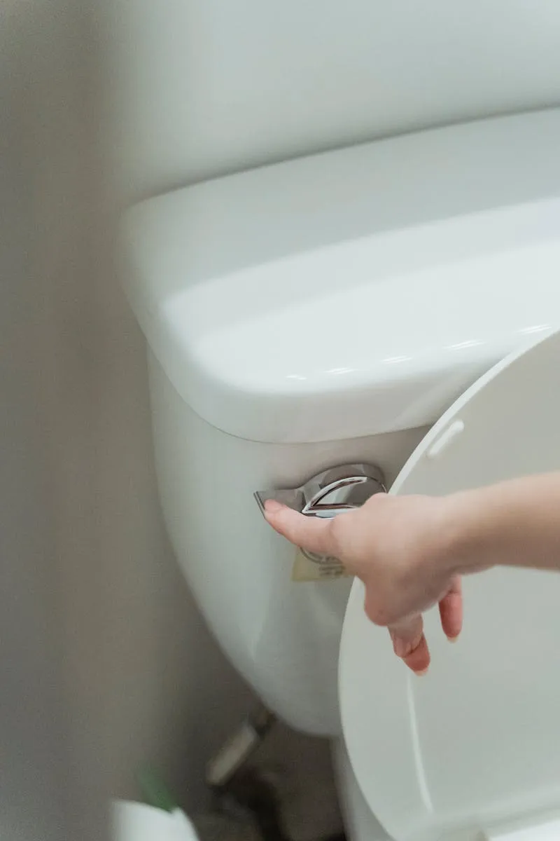 Toilet repair and replacement