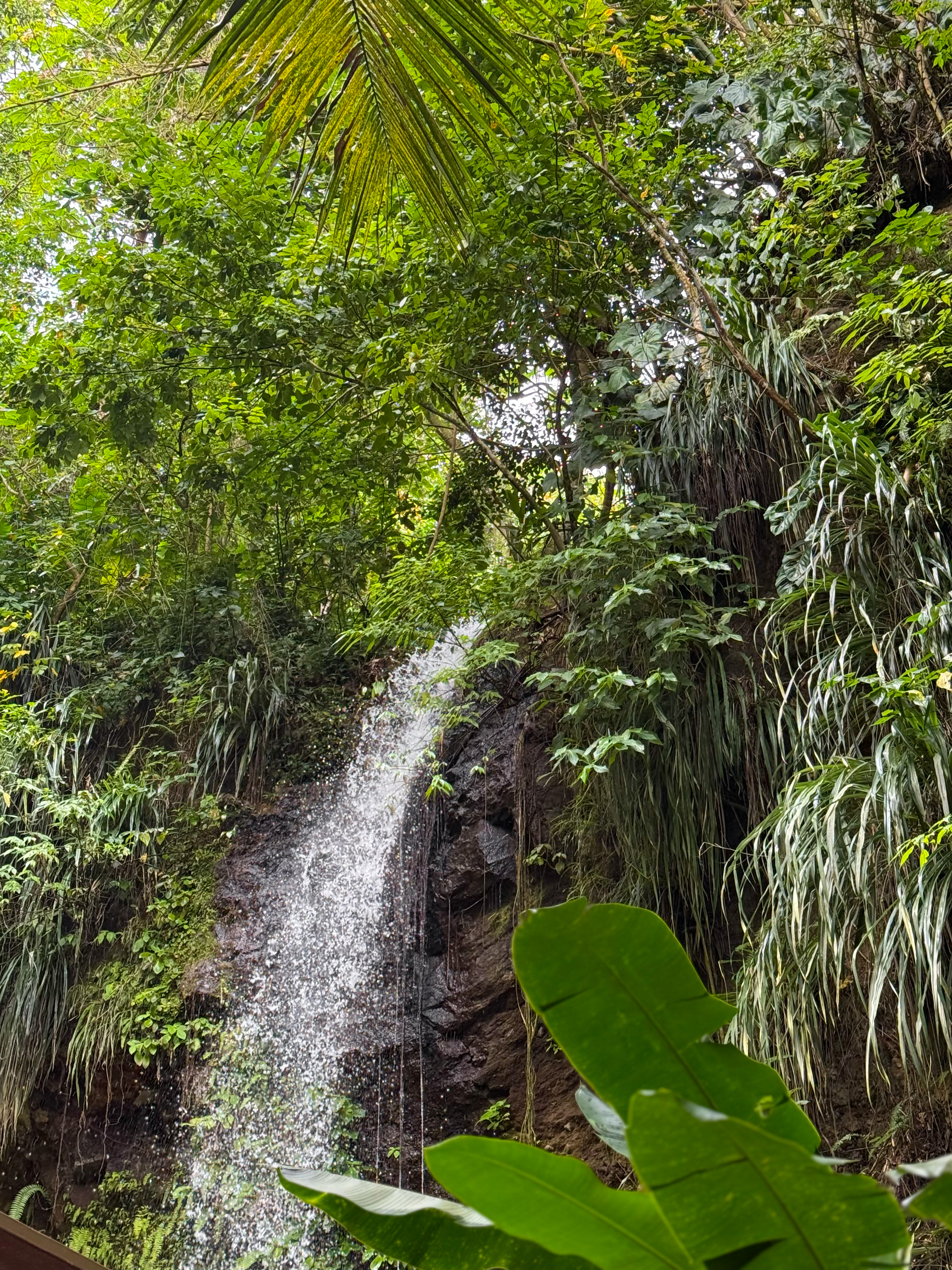 waterfalls in saint lucia