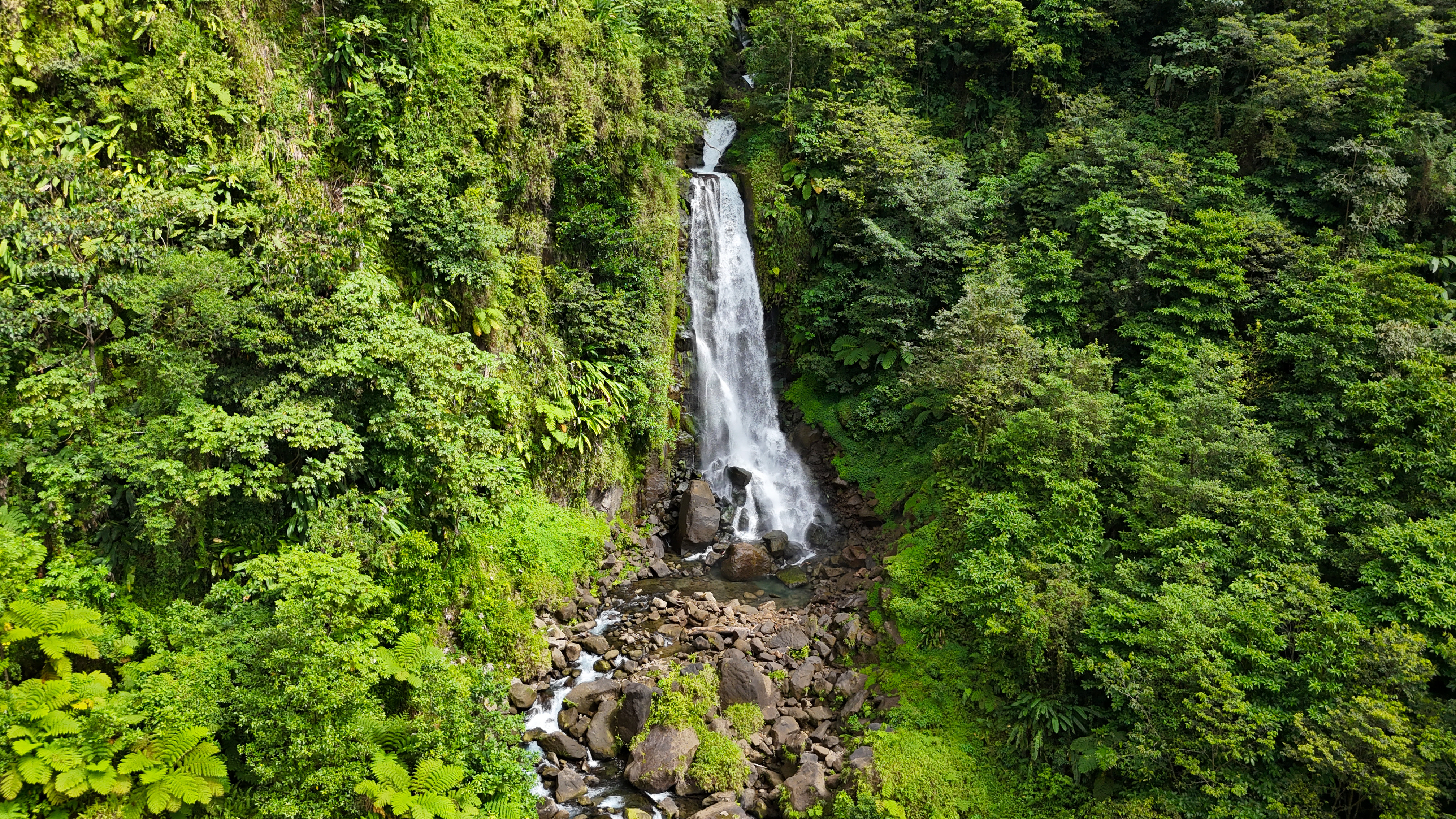 waterfall in dominica waterfall in dominica