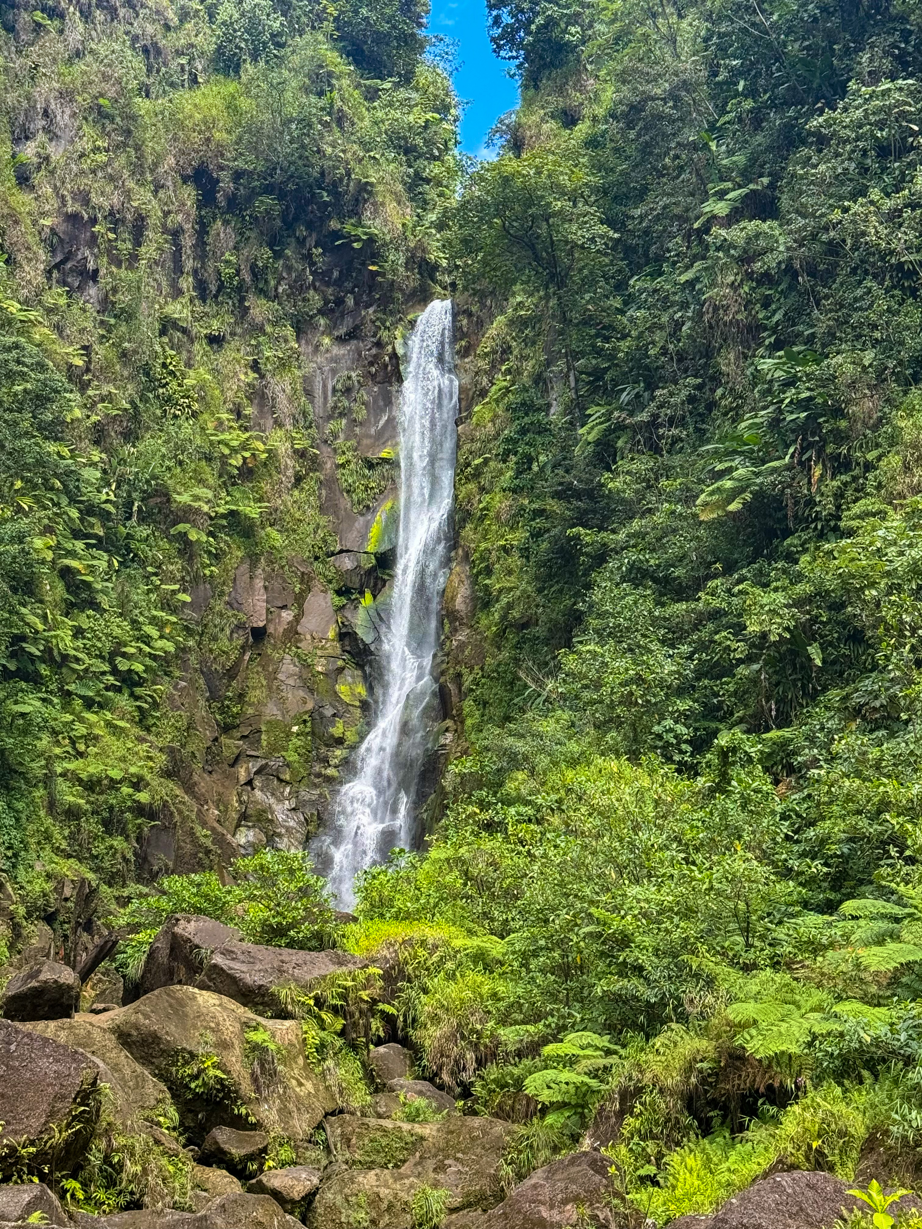 waterfall in dominica waterfall in dominica