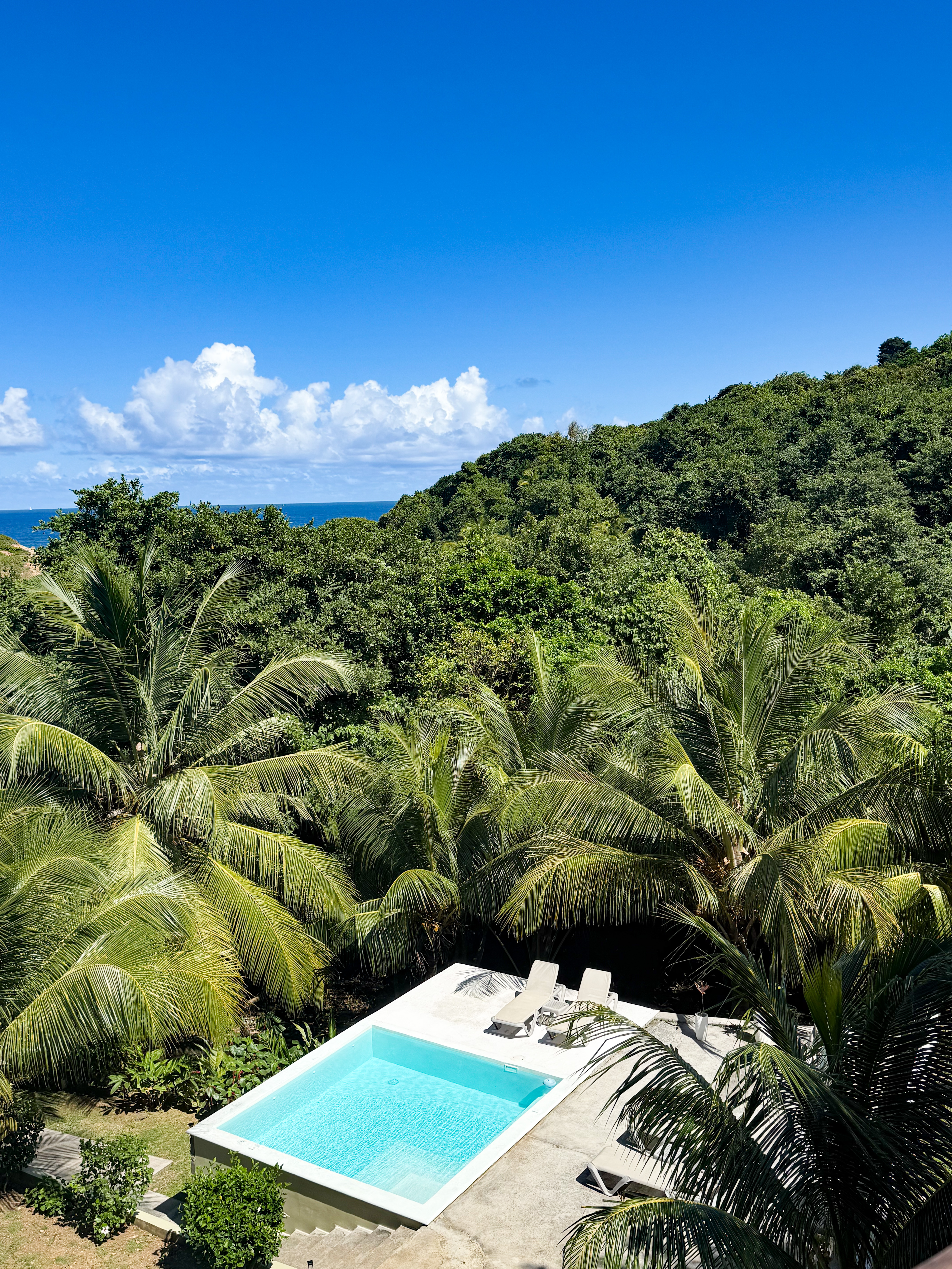 pool at escape dominica hotel