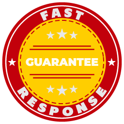 Fast Response Icon