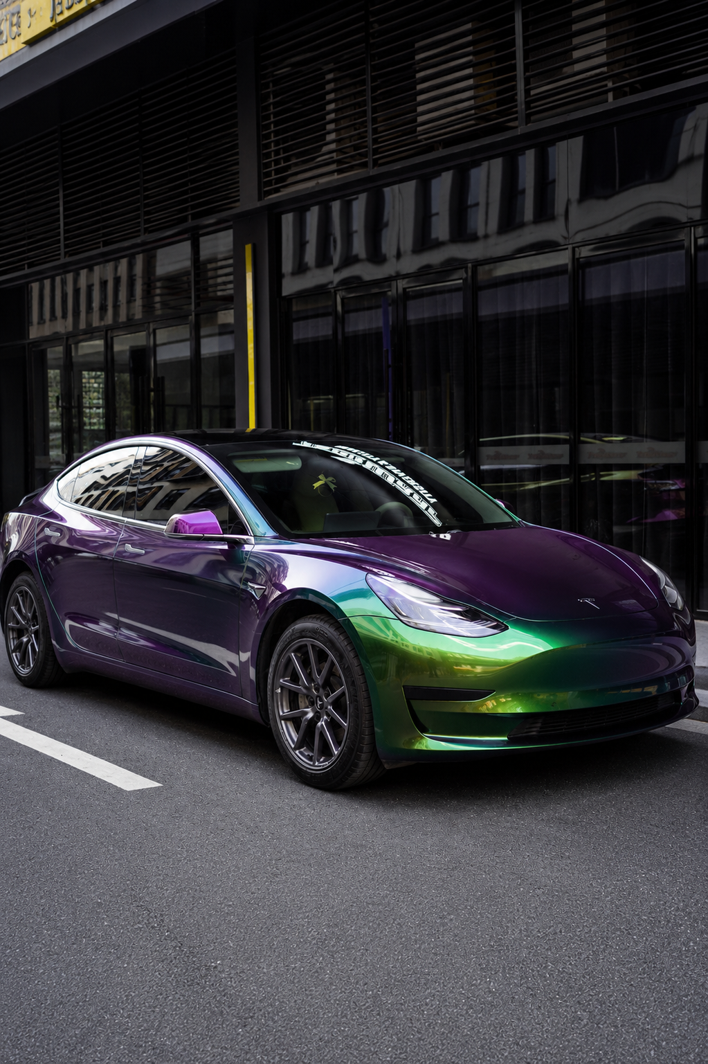  Full Vehicle Wraps