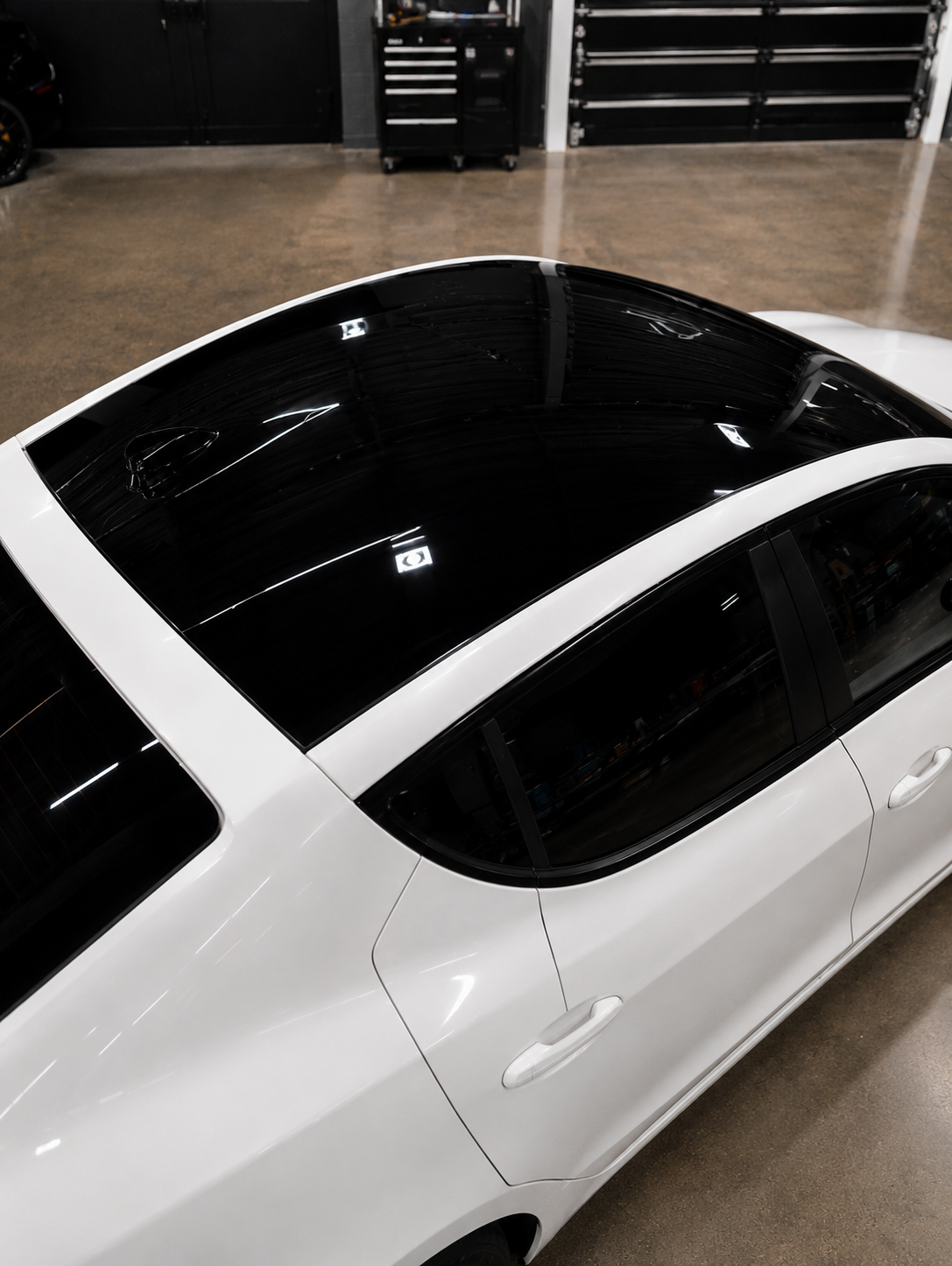  Full Vehicle Wraps