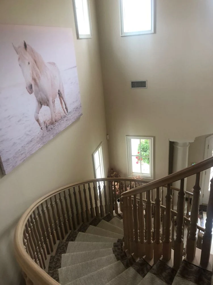 CH Cleaning Services — Curved staircase and carpeted steps
