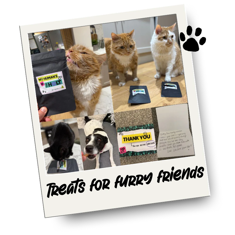 A collage of photos showing cats and dogs receiving treats. The collage includes a note of thanks and appreciation for the furry friends.