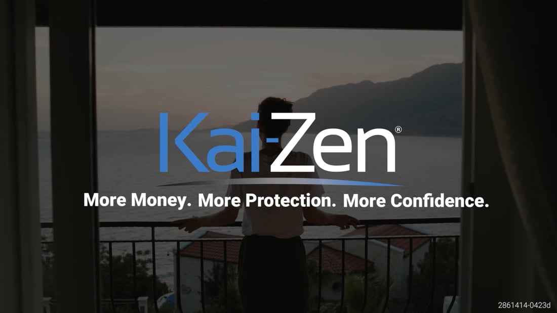 Kai-Zen: As An Alternative To Fixed Assets
